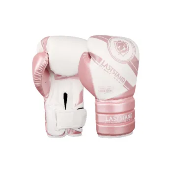 Sporty Simple Boxing gloves