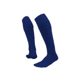 Blue-1 pair