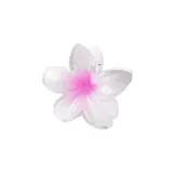 White Pink