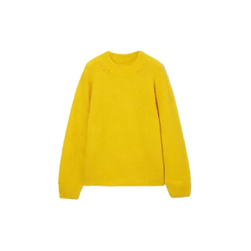 Basics Plain Polyester Sweater Women