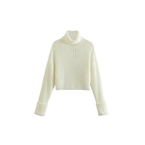 Plain Fashionable Sweater Women
