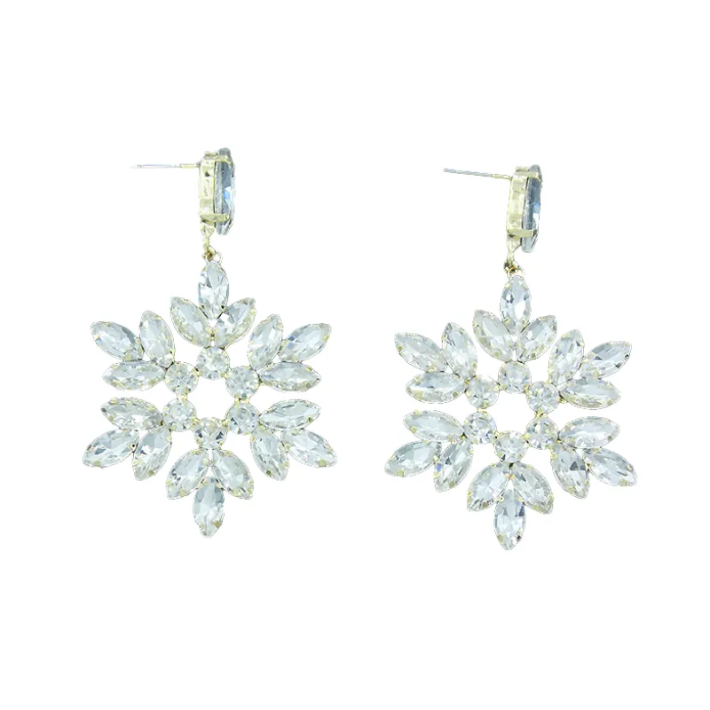 Fashionable Simple Earring-2