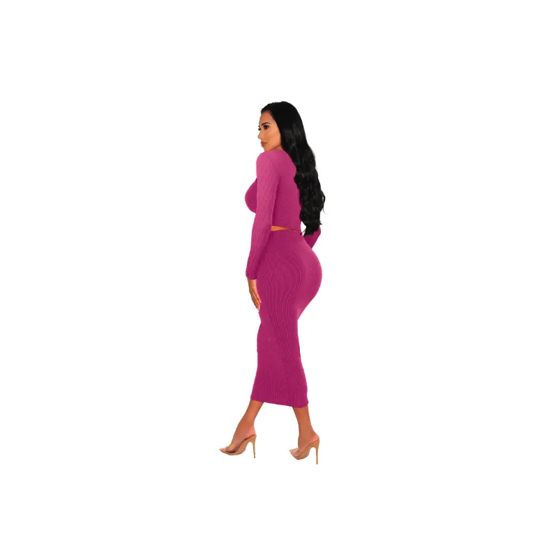 Fashionable Sexy Skirt Suit-1