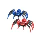 Red Blue