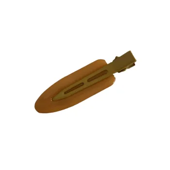 Fashionable Simple Hair Clip