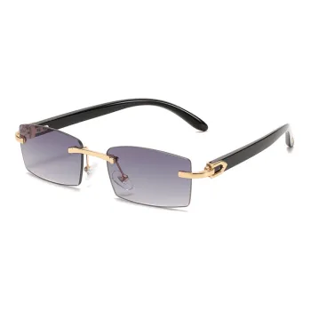 Elegant Simple Sunglasses